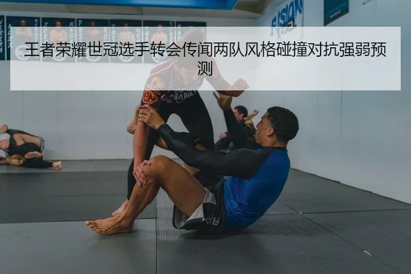 王者荣耀世冠选手转会传闻两队风格碰撞对抗强弱预测